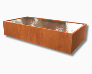 Rechthoekige vijver cortenstaal