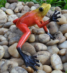 Bronzen beeld Regenwoudkikker / rood 9x21x12cm