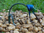 Bronzen beeld Gekleurde kikker aan twijg / blauw 13x13x26cm