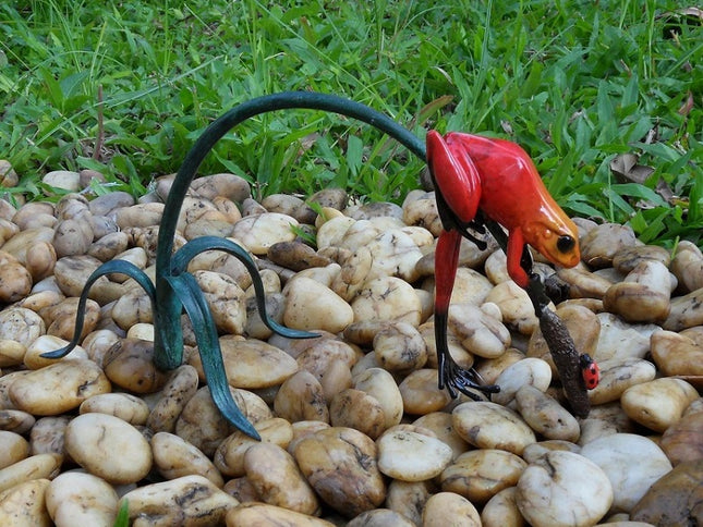 Bronzen beeld Gekleurde kikker aan twijg / rood 13x13x26cm