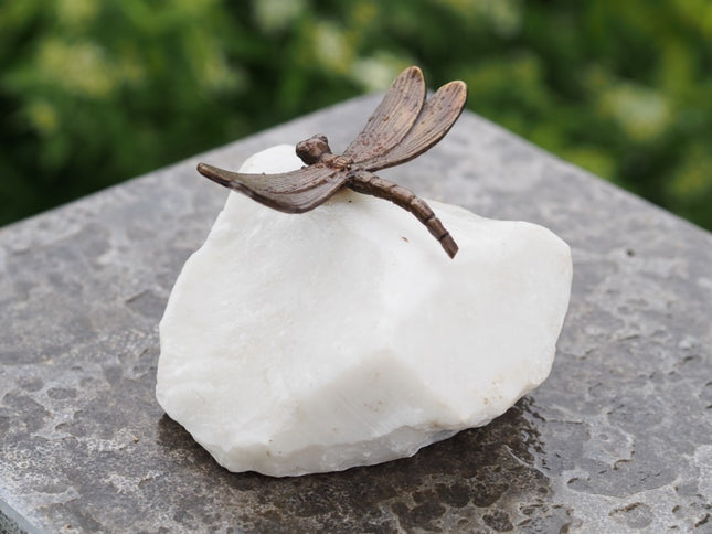Bronzen beeld Kleine libelle    3x7x8cm
