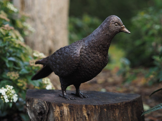 Bronzen beeld Duif 18x9x22cm