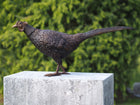 Bronzen beeld Fazant 34x18x75cm