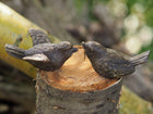 Bronzen beeld Paar vogeltjes 3x6x7cm