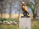 Bronzen beeld Uil speciale patine 21x11x11cm