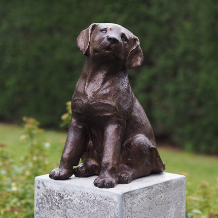 Bronzen beeld Puppy 35x19x25cm