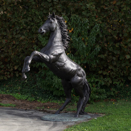 Bronzen beeld Steigerend paard 227x92x185cm 165kg
