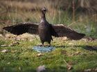 Bronzen beeld Flapperende eend 38x90x47cm