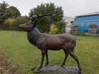 Bronzen beeld Groot hert 200x105x180cm 140kg