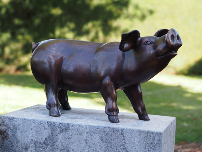 Bronzen beeld Biggetje 35x30x67cm 7kg