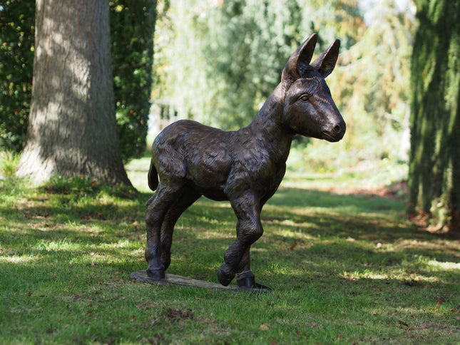 Bronzen beeld Ezel veulen 93x30x90cm 26kg