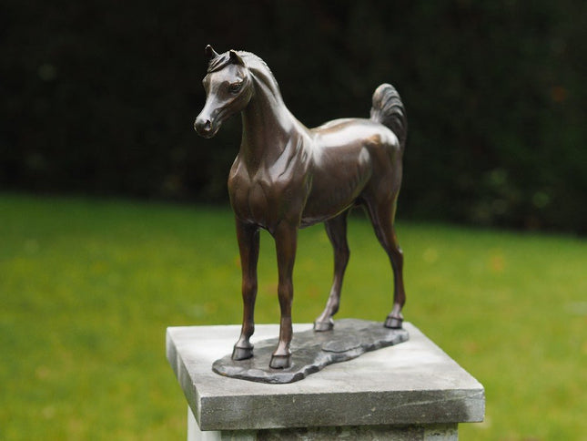 Bronzen beeld Arabisch paard 30x9x33cm - Doika - Bronzen beeld - Doika - 5410807011355 - AN1135BR-B