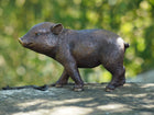 Bronzen beeld Biggetje 12x16x18cm - Doika - Bronzen beeld - Doika - 5410807013779 - AN1377BR-B