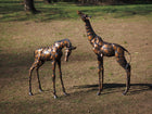 Bronzen beeld Giraffen paar 133x30x100cm - Doika - Bronzen beeld - Doika - 5410807196106 - B19610