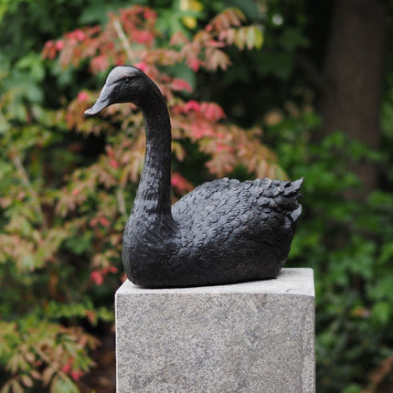 Bronzen beeld Grote zwaan 34x20x47cm - Doika - Bronzen beeld - Doika - 5410807913444 - AN1344BR-B