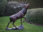 Bronzen beeld Hert op Rots 170x90x140cm - Doika - Bronzen beeld - Doika - 5410807014691 - B1469