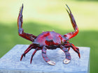 Bronzen beeld Krab 16x13x19cm - Doika - Bronzen beeld - Doika - 5410807051153 - AN5115BR-C