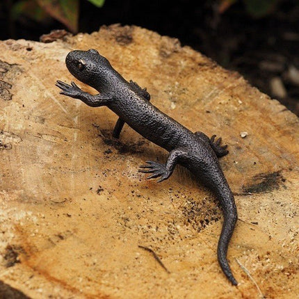Bronzen beeld Salamander 3x8x19cm - Doika - Bronzen beeld - Doika - 5410807013175 - AN1317BR-B