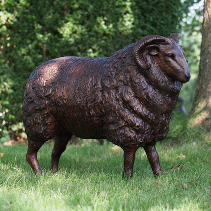 Bronzen beeld Schaap 61x30x75cm - Doika - Bronzen beeld - Doika - 5410807730133 - B73013