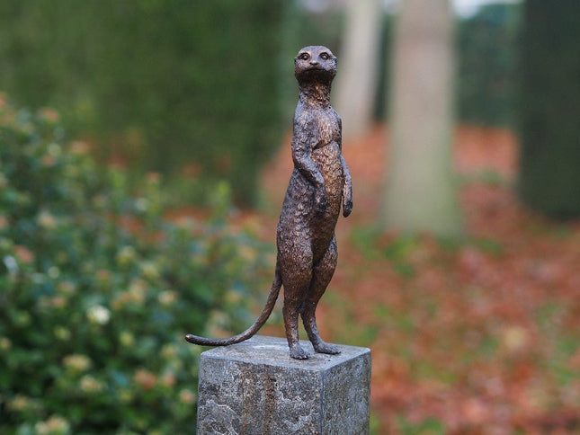 Bronzen beeld Stokstaartje 28x9x14cm - Doika - Bronzen beeld - Doika - 5410807013328 - AN1332BR-B
