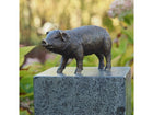 Bronzen beeld Varken 12x8x25cm - Doika - Bronzen beeld - Doika - 5410807211700 - AN1170BRW-B