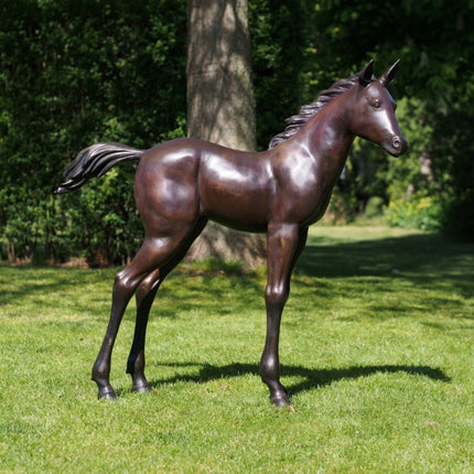 Bronzen beeld Veulen 27x127x115cm 32kg - Doika - Bronzen beeld - Doika - 5410807610817 - PB61081