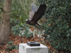 Bronzen beeld Vliegende uil 53x27x45cm - Doika - Bronzen beeld - Doika - 5410807022092 - AN2209BR-B