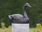 Bronzen beeld Zwaan 16x9x22cm - Doika - Bronzen beeld - Doika - 5410807913437 - AN1343BR-B