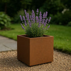 Vierkante cortenstalen plantenbak met bodem 40x40x40 cm - Doika - Plantenbak - Geroba -  - QuadraB2