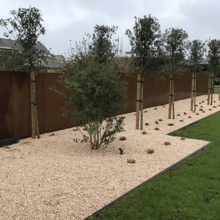 Geroba Gerofence schutting cortenstaal 100x200cm (LxH) - Doika BV - Schutting - Geroba - GerofC4