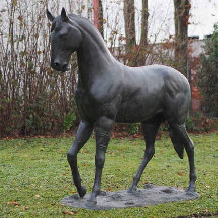 Thermobrass Groot paard 217x84x201cm (HxBxL) - Doika BV - Bronzen beeld - Thermobrass - 5410807006740 - B674