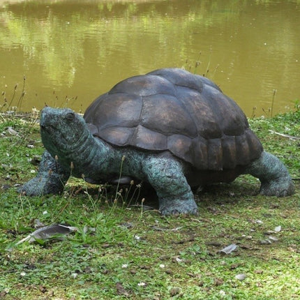 Thermobrass Schildpad 35x55x90cm (HxBxL) - Doika BV - Bronzen beeld - Thermobrass - 5410807584804 - B58480